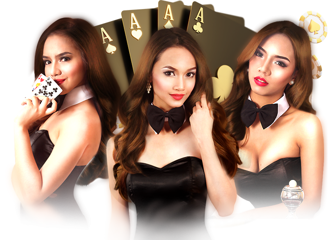 allcasino gaming โต๊ะบาคาร่า